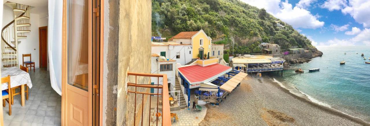 Mimì sul Mare Apartment Massa Lubrense Exterior foto